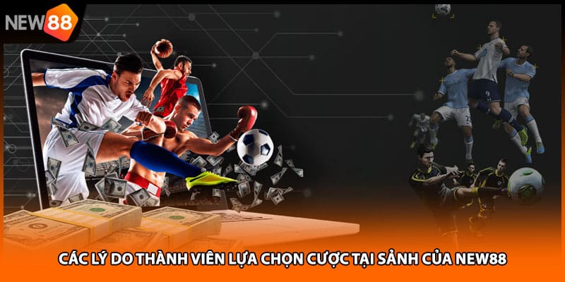 Các lý do thành viên lựa chọn cược tại sảnh của NEW88