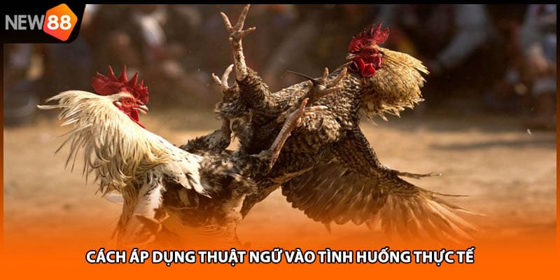 Cách áp dụng thuật ngữ vào tình huống thực tế