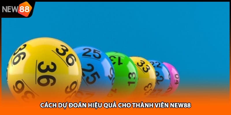 Cách dự đoán hiệu quả cho thành viên NEW88