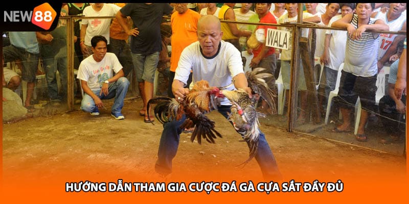 Hướng dẫn tham gia cược đá gà cựa sắt đầy đủ