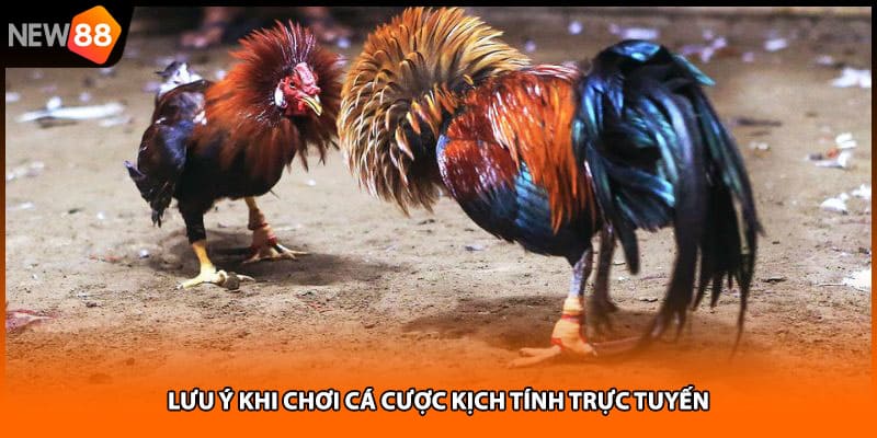 Lưu ý khi chơi cá cược kịch tính trực tuyến