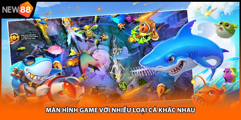 Màn hình game với nhiều loại cá khác nhau