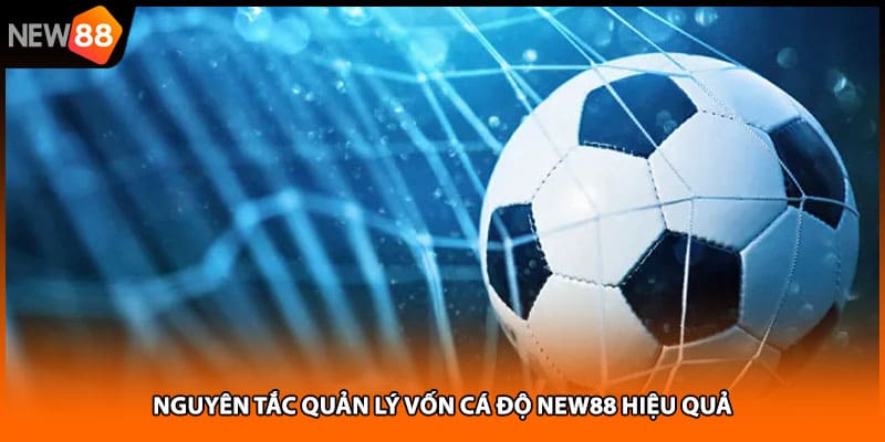 Nguyên tắc quản lý vốn cá độ NEW88 hiệu quả
