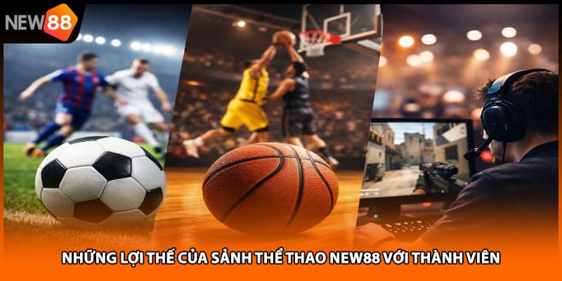 Những lợi thế của sảnh thể thao NEW88 với thành viên