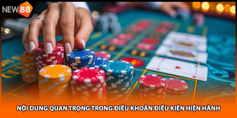 Nội dung quan trọng trong điều khoản điều kiện hiện hành