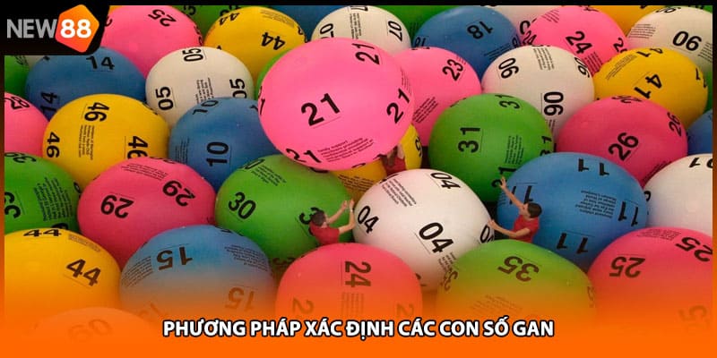 Phương pháp xác định các con số gan