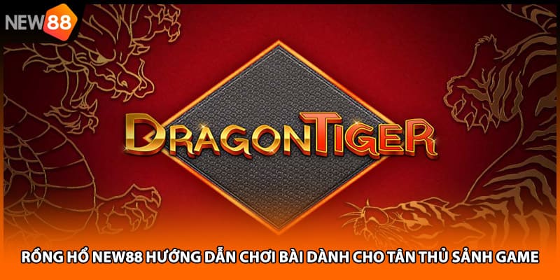 Rồng Hổ NEW88 Hướng Dẫn Chơi Bài Dành Cho Tân Thủ Sảnh Game