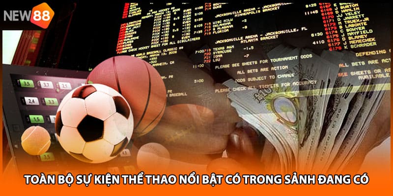 Toàn bộ sự kiện thể thao nổi bật có trong sảnh đang có